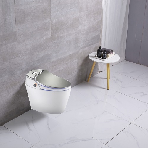 China One Piece Sliver color Floor mounted Smart Toilet Manufactory