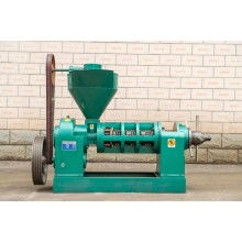 100 model Oil press machine for cottonseed