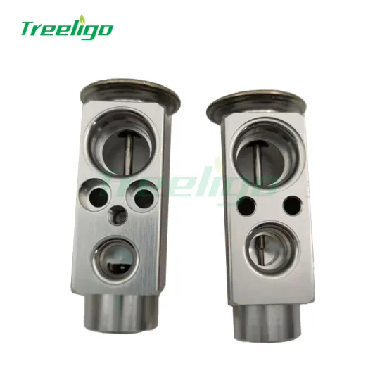 Manufacturer Price for Mercedes-Benz Actros AC Expansion Valve (7009315)