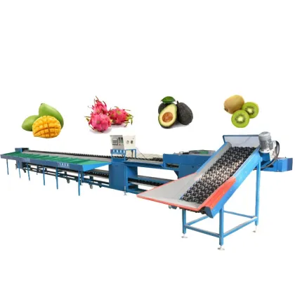 Automatic Fruit Sorting Machine for Tomatoes, Pomegranates, Mandarins, and Oranges