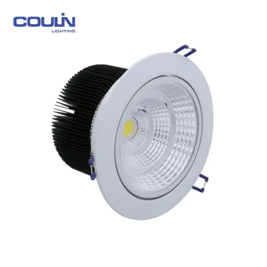 New Style Simple Adjustable Led Downlight