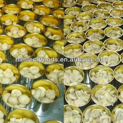 wholesale canned mushroom brand VIDOO