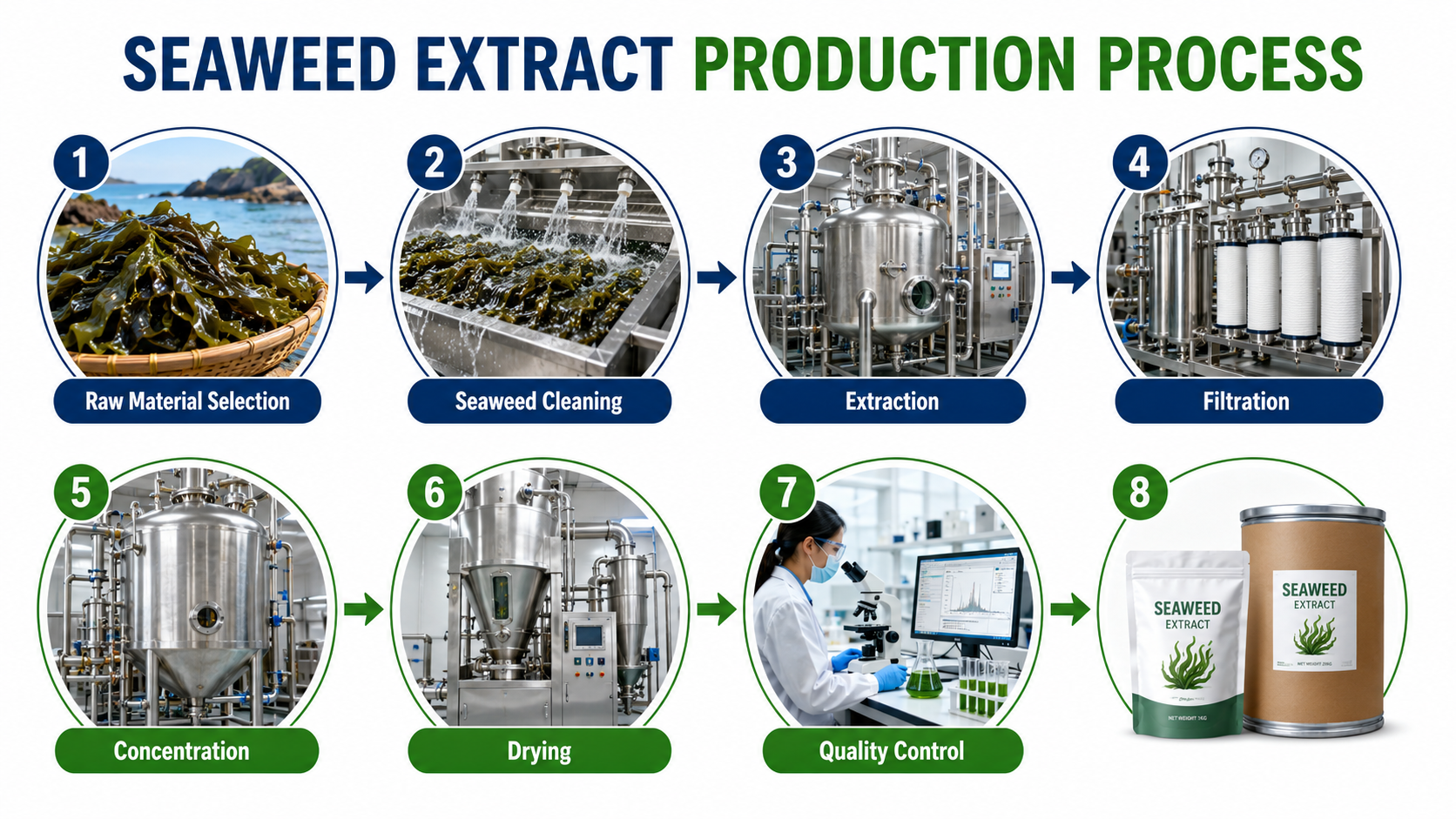 Seaweed Extract（1）