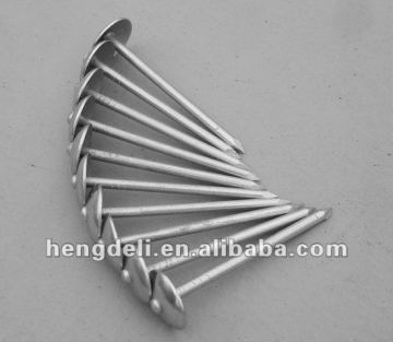 smooth shank umbrella roofing nail-real factory