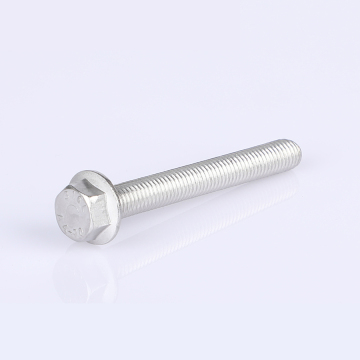 Corrosion of flange bolts made of stainless steel