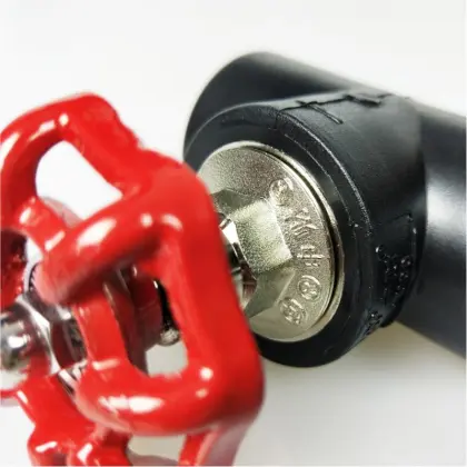 PE gate valve (double-joint gate valve)