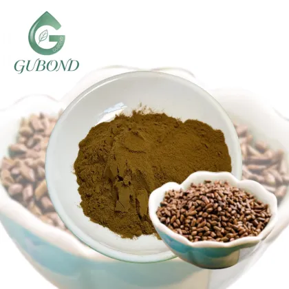 Cassia Seed Extract Powder for Dietary Supplements