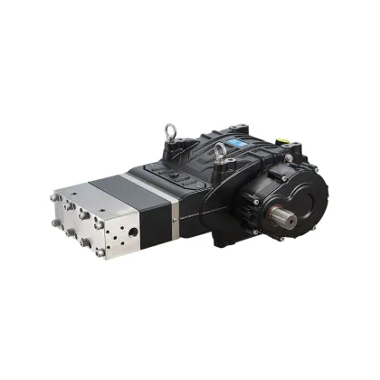 Rugged Triplex Plunger Pump for Metal Descaling