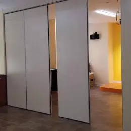 Motorized Window Panel Track Shades
