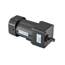 Geared AC Motor