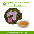 Kostenlose Proben-Epilobium-Parviflorum-Extraktpulver 10: 1