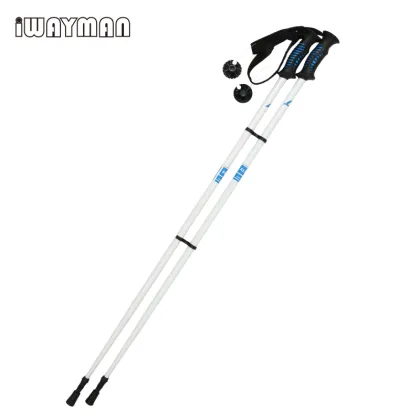 Aluminum Ski Pole 110cm