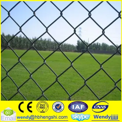 Professional chain link fence for wholesales                        
                                                                                Supplier's Choice