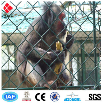 high quality chain link fence( pvc coated and galvanized)