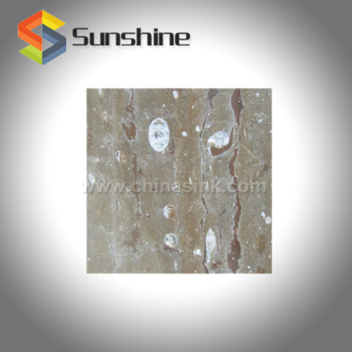 Fossils Marble Natural Stone Tile