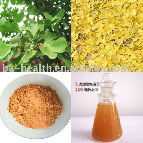 Ginkgo Biloba Extract Plant Extract