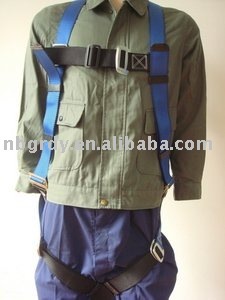 Full Body Harness