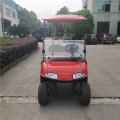 two seats 3000cc gas golf cart for sale