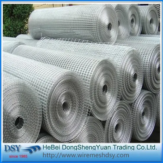 galvanized welded wire mesh rolls for sale