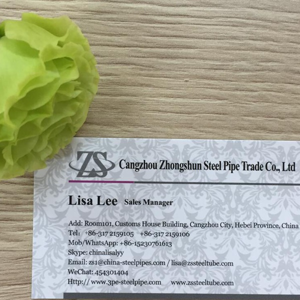 Name Card Lisa Lee