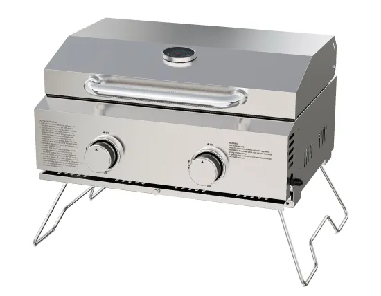 Portable Propane Gas Grill 2-Burner Tabletop Grill
