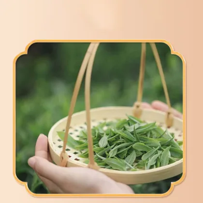 Zhengshan Xiaochong Black Tea: China Fujian Factory Wholesale and Gifts