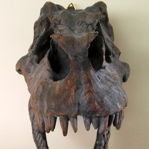 Life Size t Rex Skull Replica for Sale
