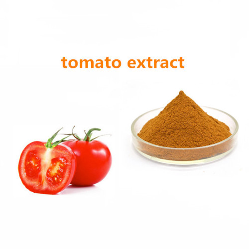 Vegetable Powder Tomato Extract