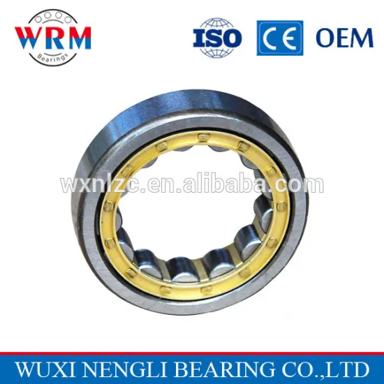 2014 Chinese supplier cylindrical roller bearings N1016M for rolling mill
