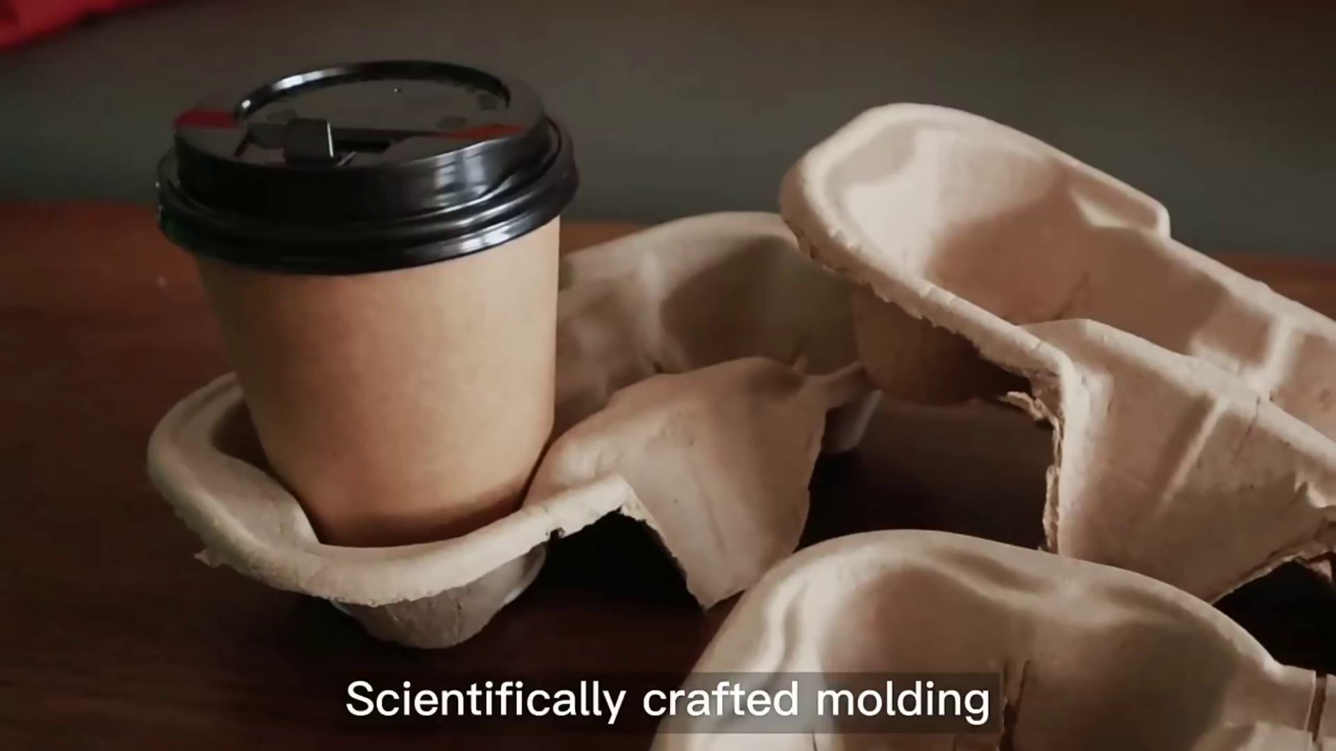 Eco-Friendly Paper Pulp Cup Carrier Tray