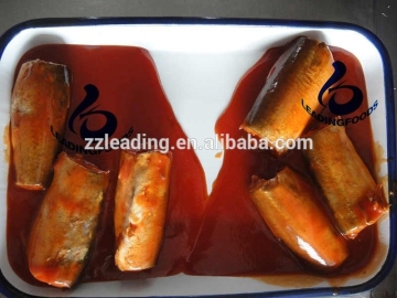 Fish Produce Type and Premium Canned Jack Mackerel Brands Wholesale with Tomato Sauce