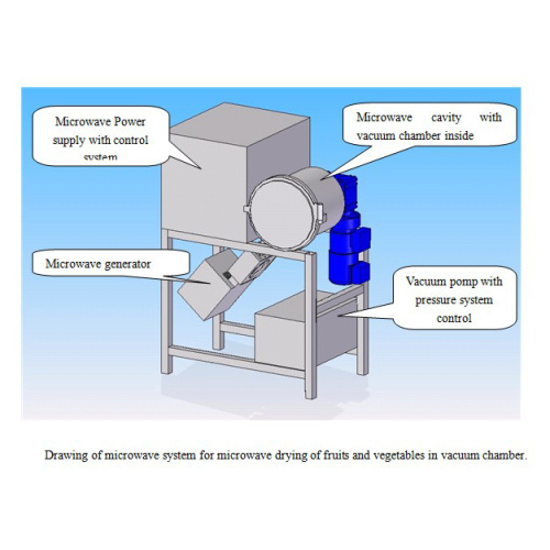 Microwave Vacuum Testing Machine