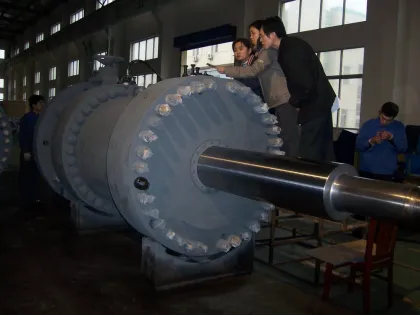 Three Gorges Mechanical Operation Hydraulic Servo Motor For Water Wheel