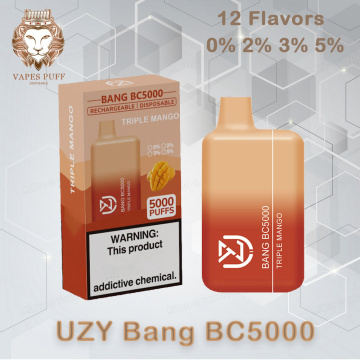 UZY Bang BC5000 Puffs Vape Pen Wholesale Spain