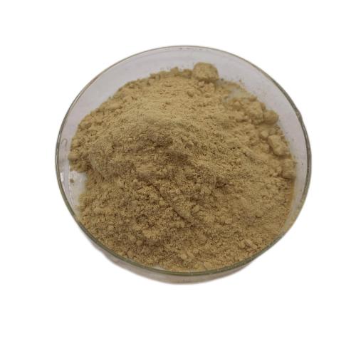 Okra seed extract powder Water soluble Okra extract