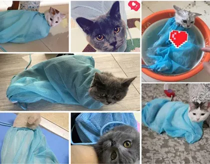 Wash the cat bag and take a bath