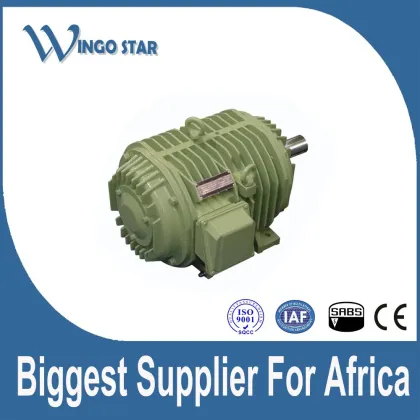 WINGO STAR iec standard three phase electric motor