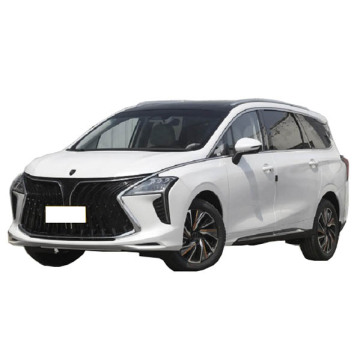 Factory New Luxury 7-Seater Mini Van with Leather Seats and R18 Tires