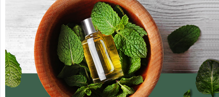  Peppermint Essential Oil