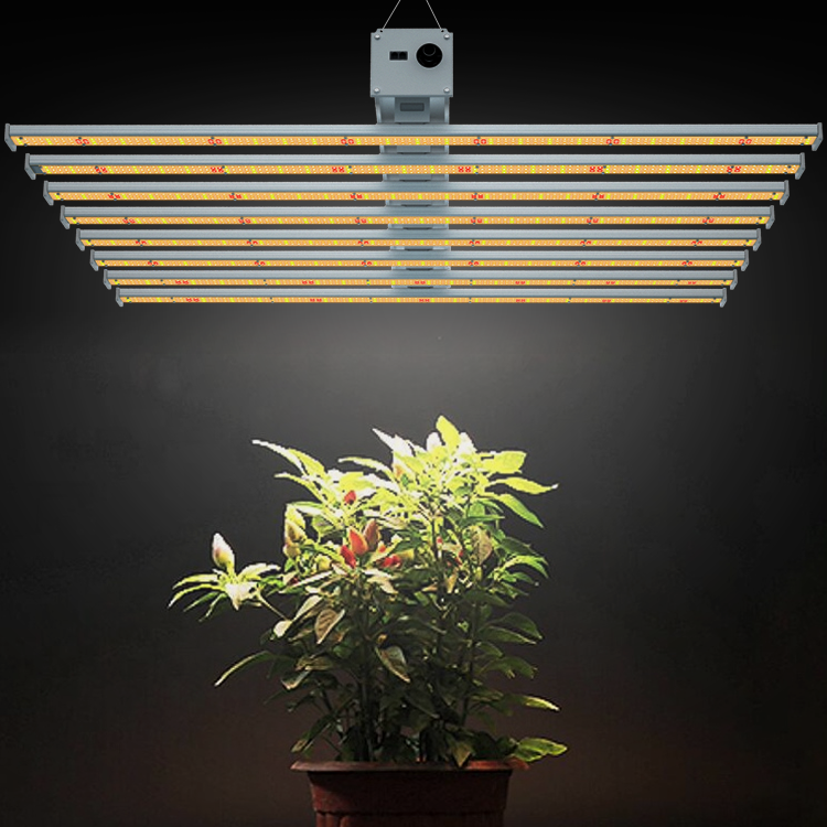 grow lights indoor plant (8)
