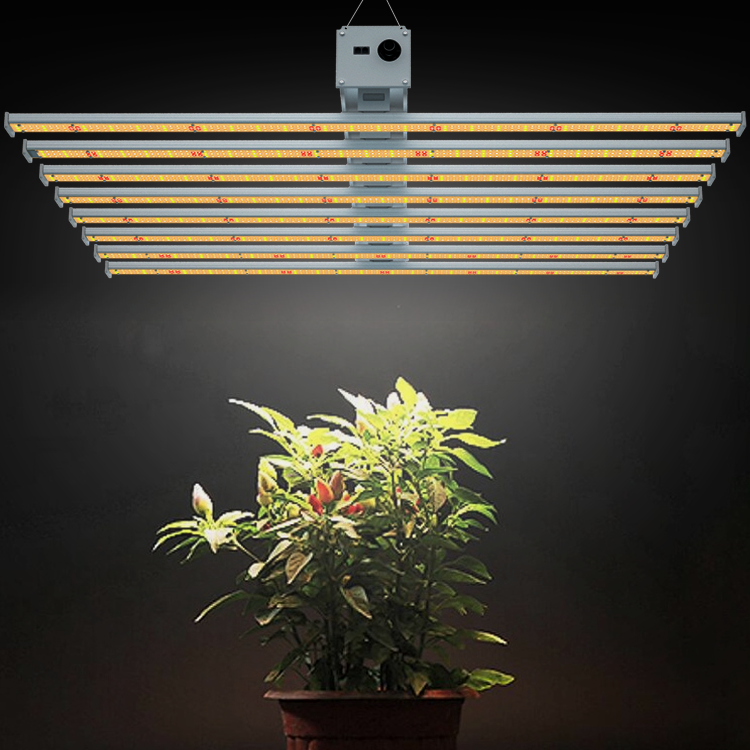 Grow Lights Indoor Plant