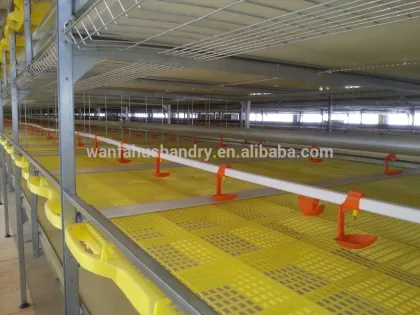 poultry farm broiler rooster cage