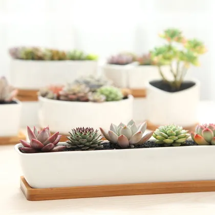 Ceramic Cactus Flower Pot with Bamboo Tray