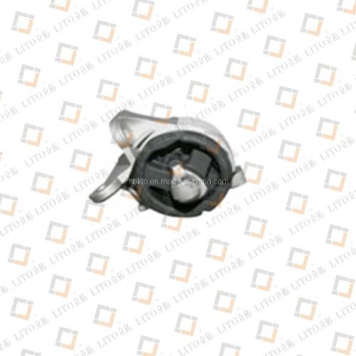 Auto Spare Part, Engine Mount, Strut Mount, High Quality Auto Spare Part, Engine Mount, Strut