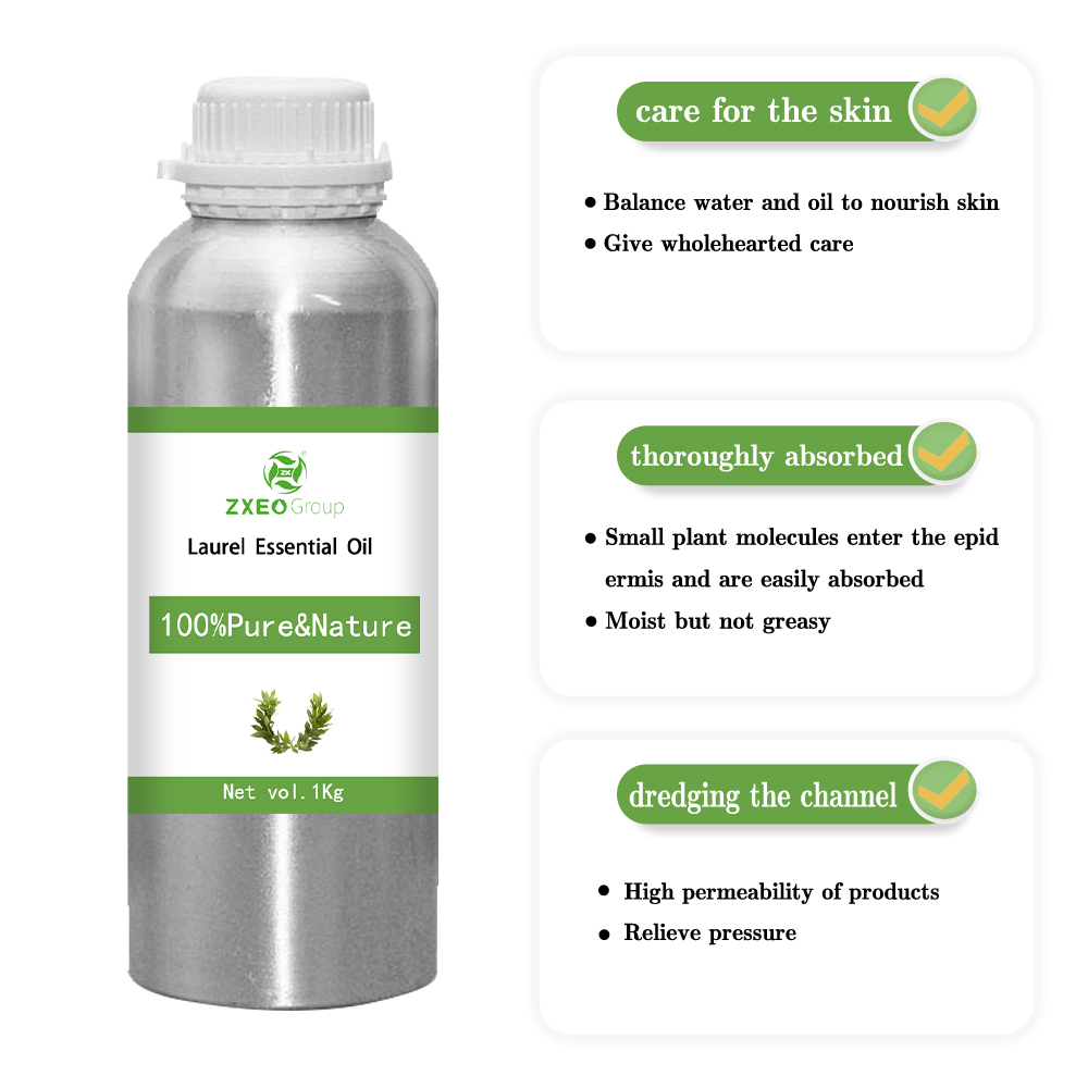 Grosir Bulk Laurel Essential Oil Label Pribadi Sampel Gratis Laurel Leaf Oil Pure Natural Organik Top Grade Bay Leaf Oil