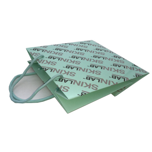 Custom design paper craft packaging bag