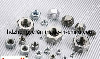 Various Sizes of DIN934 Hex Nuts