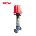 Electric Control Valve Safe and Reliable Electric Single-seat Control Valve Supplier