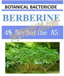 botanical bactericide 4% Berberine AS natural organic