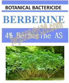 botanical bactericide 4% Berberine AS natural organic